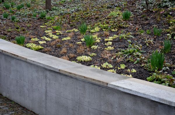 Concrete Wall Construction in Mansfield
