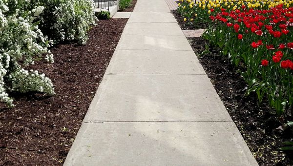 Sidewalk Concrete Replacement in Mansfield
