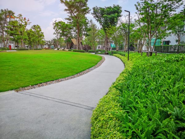 Cement Walkway Service in Mansfield