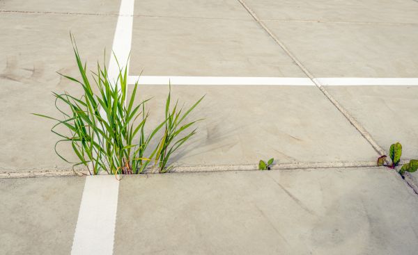 Concrete Parking Installation in Mansfield