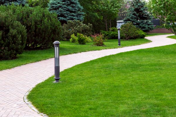 Backyard Sidewalk Installation in Mansfield